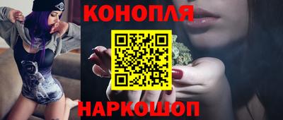 сатива Кингисепп