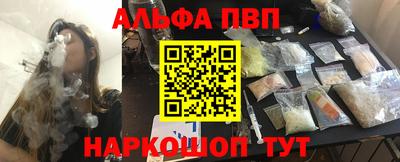 сатива Кингисепп