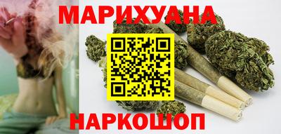 сатива Кингисепп