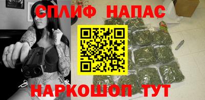 сатива Кингисепп